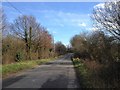 Cradducks Lane, near Staplehurst