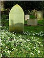 February in Roughton churchyard