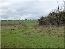 ST6116 : Two hedges and a field entrance by A30 by David Smith