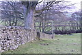 Wall beside Eshington Lane