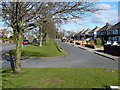 Houses by Water Orton Road