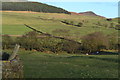 View over field towards Eller Beck