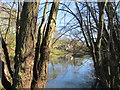 Pond in Lindrick dale.