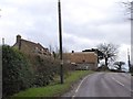 Thatch in North Wootton