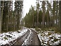 NH7547 : Logging road, Culloden Forest by Richard Webb