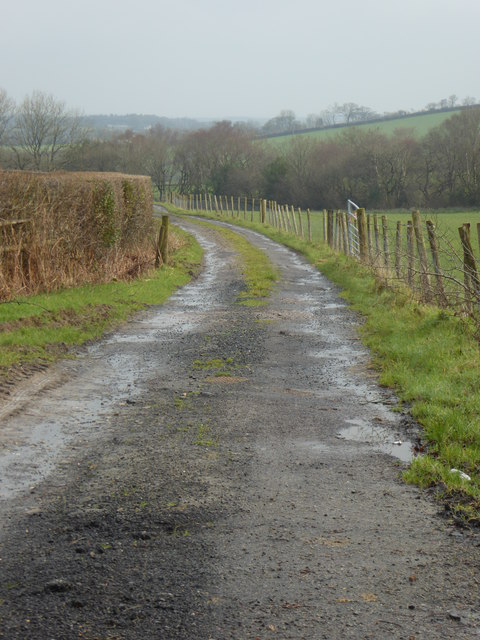 The track leading to Pudson Farm
