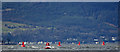 Red buoys in the Firth of Clyde