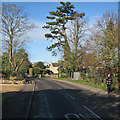 Harston: Church Street