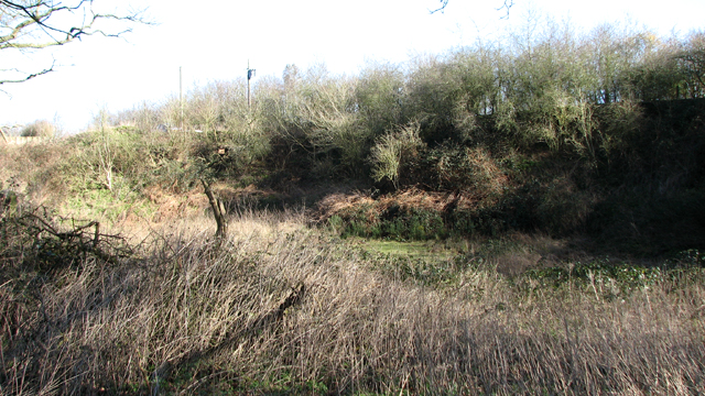 View into a disused gravel pit