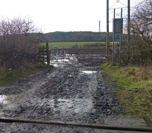 Muddy gateway beyond a level crossing © Russel Wills cc-by-sa/2.0 ...