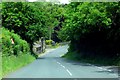 The road through Forest Becks