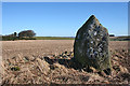 Sheldon of Bourtie Stone Circle (6)