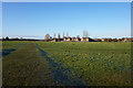 Hob Moor Local Nature Reserve, York