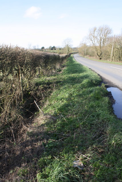 Roadside ditch opposite Cuckoo Wood Farm © Roger Templeman cc-by-sa/2.0 ...