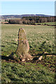 NJ7612 : Standing Stone by Anne Burgess