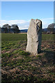 NJ7112 : Standing Stone by Anne Burgess