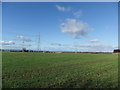 Fields on Catley Hill