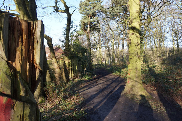 Acomb Wood, Woodthorpe, York © Ian S cc-by-sa/2.0 :: Geograph Britain ...