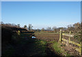 Path leading to Askham Richard