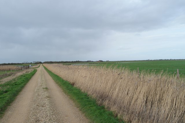Willow Tree Fen - the track to the farm