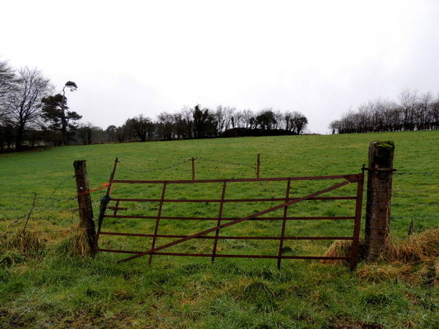 Gate, Galbally © Kenneth Allen :: Geograph Ireland