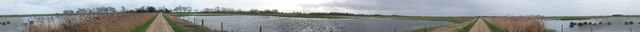 Panorama at Willow Tree Fen