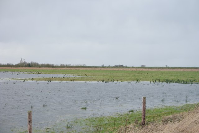 Restored wetlands