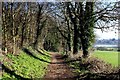 Wales Coast Path, South Chepstow