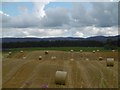 Round bales, Powmyre