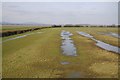 SO7105 : Wetland at Slimbridge by Philip Halling
