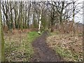 Footpath on the north side of the railway