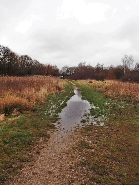 Footpath from Withy Grove Park to Brindle Road