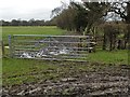 Field gate and stile