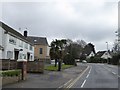 Houses and a palm tree by Sandbanks Road