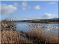 The Beauly River at Beauly