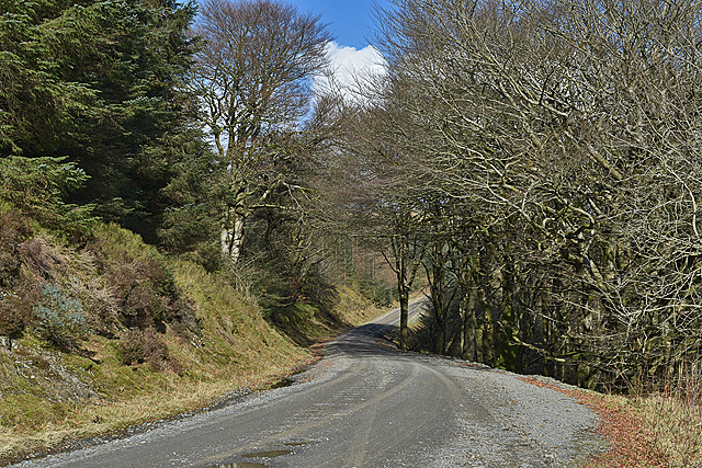 Forestry road heading for Bryn-llwyd