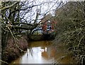 Swans at Dirtness Pumping Station