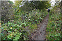 SK0482 : Path junction above Forge Mill by Bill Boaden