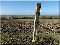 TA0015 : "Godfrey" boundary marker above Bonby by Neil Theasby