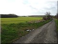 North Carr Lane, Saxby All Saints