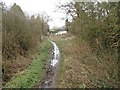 Looking along Bradkirk Lane