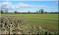 Farmland north of Howgrave Grange [3]