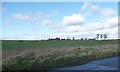 Farmland west of Gallow Hill