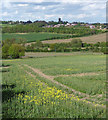 Farmland near Greasbrough