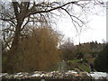 Bridge on the Wytham Stream