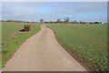 SO9264 : Farm road to Walmer Farm by Philip Halling
