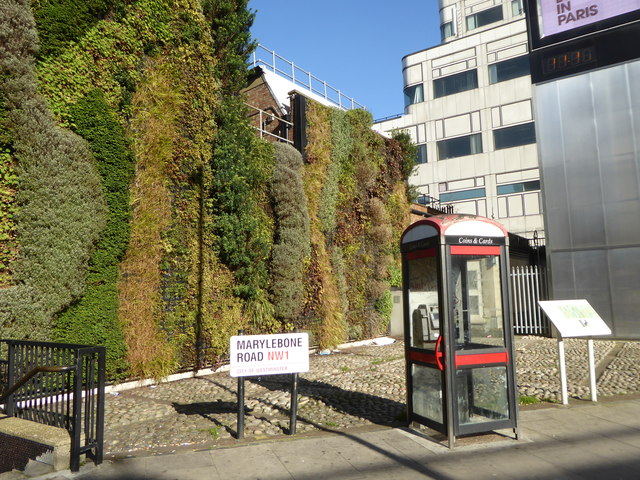 Green wall beside the Marylebone flyover