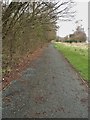 Pedestrian and cycle path from Brierley Road, Walton Summit