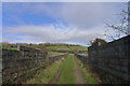 Crossing the Henbury Loop railway line