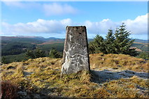 NX4098 : Trig Point, Tairlaw Ring by Billy McCrorie